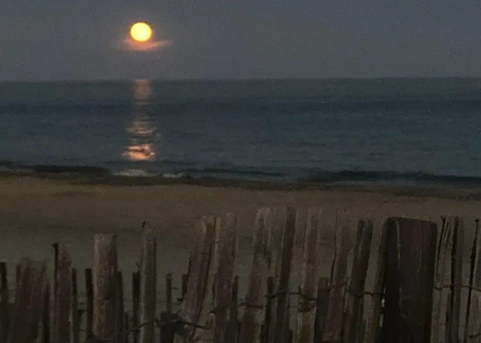 Dom wakacyjny Mas De La *